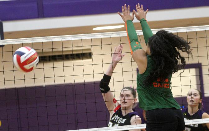 Volley Hounds hosting Perry in state tourney debut on Saturday