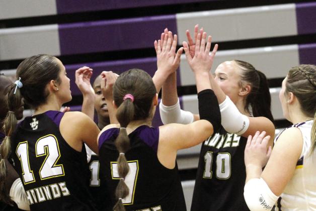 The Volley Hounds celebrate during last week’s region sweep of Warner Robins and Eagles Landing. BRAD HARRISON/Staff