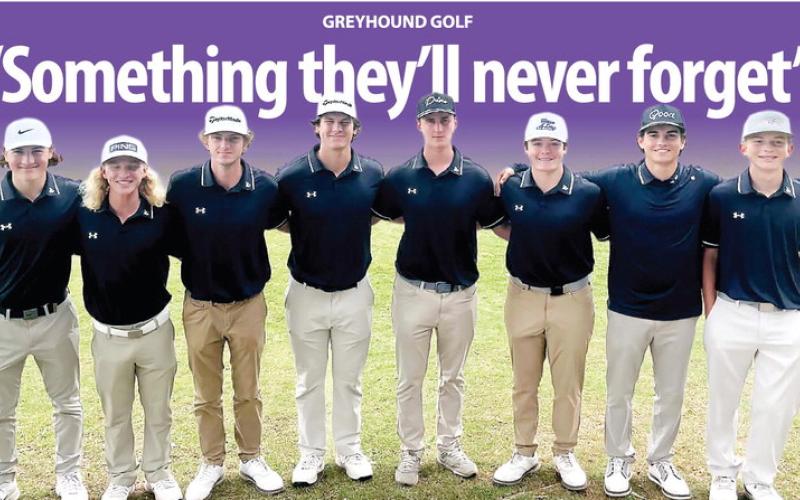 The Jones County boys’ golfers have plenty of reasons to smile after winning an area title. CONTRIBUTED