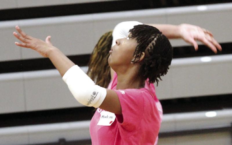 Growth of volleyball excitement shows in tryouts