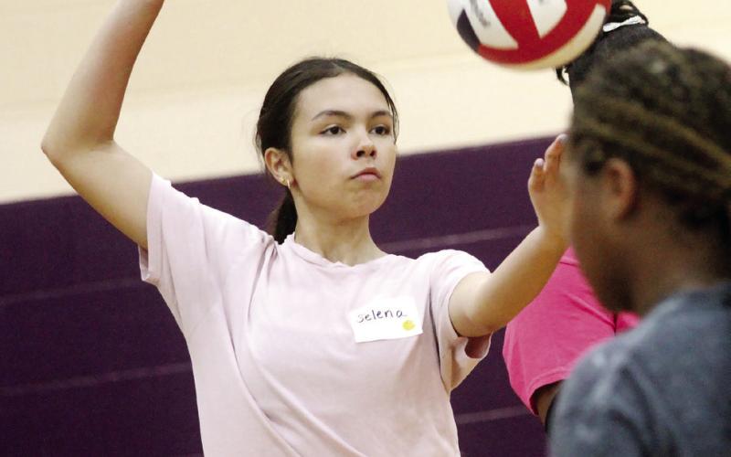 Growth of volleyball excitement shows in tryouts