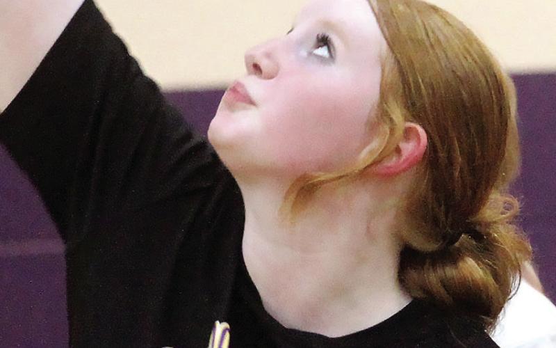 Growth of volleyball excitement shows in tryouts