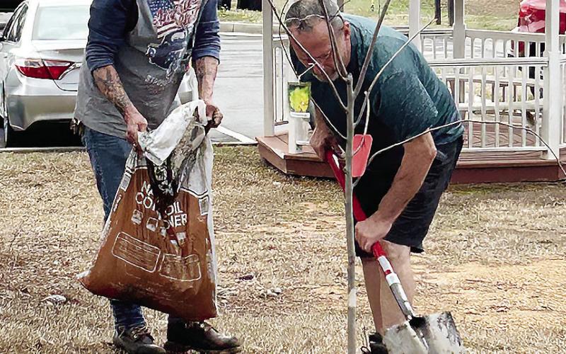 The Redbud tree is planted on the in front of Conn Realty on the slope most visible from the highway. CONTRIBUTED