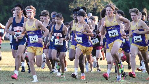 The Greyhounds charge away from the starting line as the field fans out to begin the Greyhound Invitational on Saturday morning. BRAD HARRISON/Staff