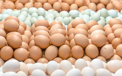 State lifts poultry suspension after bird flu outbreak