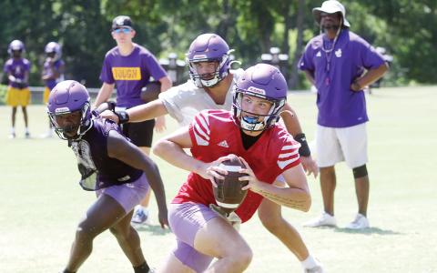Greyhounds accelerating toward end of summer