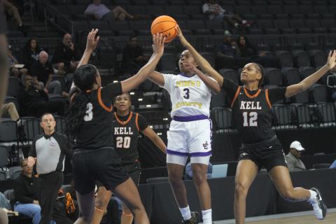 Lady Hounds fall in state semifinals 