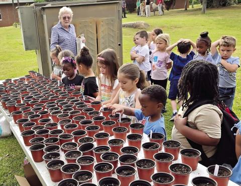 Pre-K students plant seeds