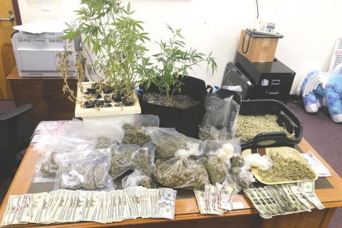 Items seized June 22 from a building on Highway 18 East included marijuana plants, bags of marijuana and cash. CONTRIBUTED