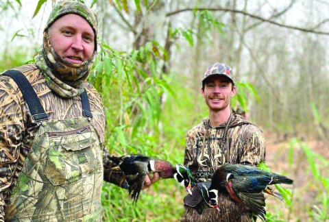 Georgia duck hunting season opens soon