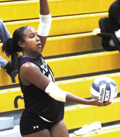 Clutch serving from Zakeena Sturgeon helped the Volley Hounds take a big lead in their final set against ACE. BRAD HARRISON/Staff