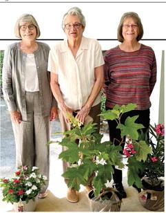 Gray Garden Club members enjoyed a fabulous luncheon and awards ceremony on May 5th outdoors at the home of Sally and Hoyt Brown. Winners for the best flower specimens in the last year were: 1-Betty Hotchkiss, 2-Ruth Hartzog and 3-Kay Cummings.