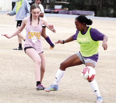 The Lady Greyhounds lose just two starters from last season. BRAD HARRISON/Staff