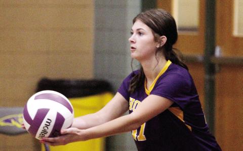 Volleyball shows growth against experienced squads