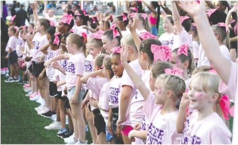 Cheer Hounds Clinic