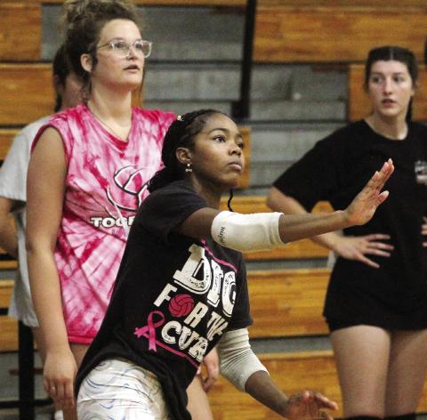 Volley Hounds seeing plenty of enthusiasm heading into summer