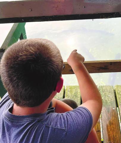 Beau looking at his first tarpon. CONTRIBUTED