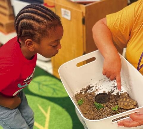 Lion classroom explores pets and reading