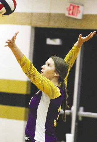 Volley Hounds leaning on youth, experience