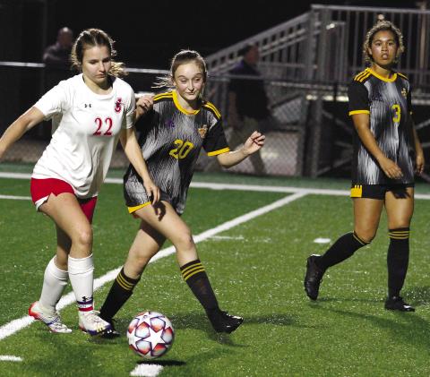 Hounds, Lady Hounds dive into region play this week