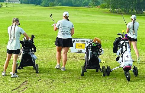 Lady Hounds begin state tourney in top 10