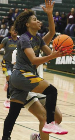 Lady Hounds upset Ware, fall in second round of playoffs