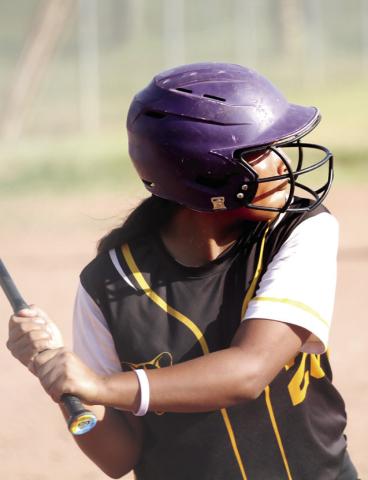 CRMS softball splits
