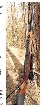 Personality of the deer rifle