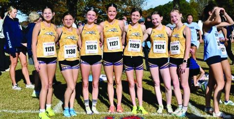 The Lady Greyhounds pose after posting a top-15 finish at Friday's state meet. CONTRIBUTED