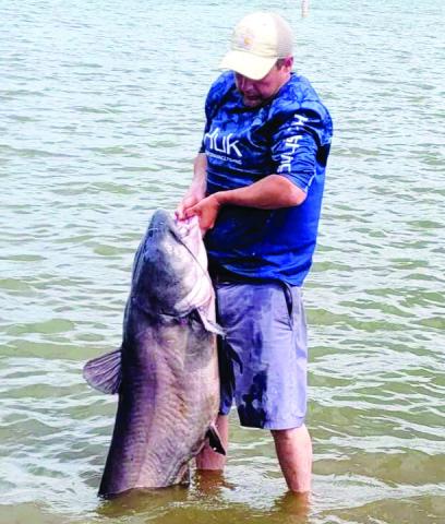 Record-setting catfish caught on Lake Sinclair