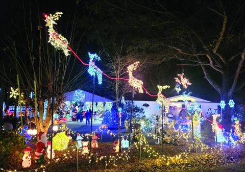 Reindeer take flight through Christmas night