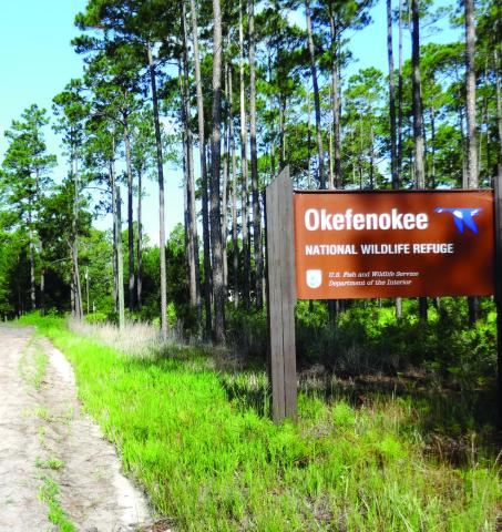 “This minor expansion will help further conservation efforts for the swamp along with the threatened and endangered species that inhabit it,” said Michael Lusk, the refuge’s manager. WIKI COMMONS