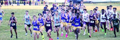 The Greyhounds, along with their Lady Greyhound counterparts, host the GHSA Sectionals on Saturday morning. BRAD HARRISON/Staff