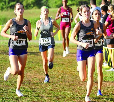 The Lady Greyhounds (pictured) and their Greyhounds counterparts will race for a region crown and berth in the state meet in Saturday’s GHSA sectionals on their home course. BRAD HARRISON/Staff