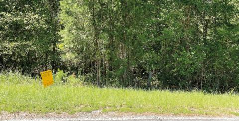 The property for the proposed church at the corner of Gray Highway and Braswell Lake Road consists of more than eight acres with its entrance and exit from the highway. DEBBIE LURIE-SMITH/Staff