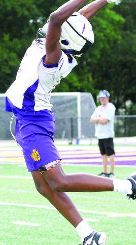 Hounds embrace heat of competition