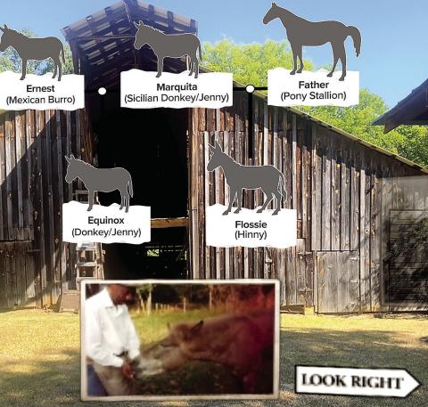 Andalusia offers new AR self-guided tour