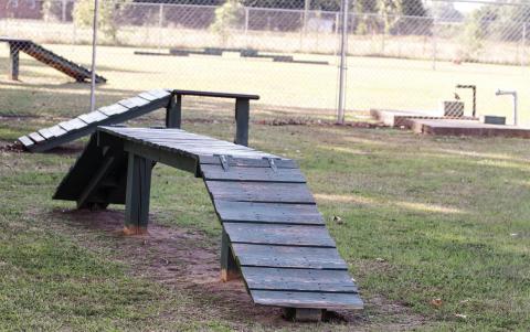 Dog park offers outlet for canine friends