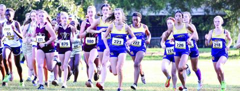 Runners from throughout the state will be in Gray Nov. 2 when Jones County hosts the GHSA state cross country sectionals for the AAAA and AAA classifications. The top 12 teams will advance to the state meet. BRAD HARRISON/Staff