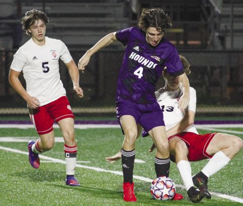 Signs of growth continue for Hounds on cusp of region play