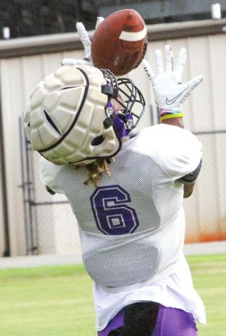 Greyhounds get good look at selves, others during OTAs