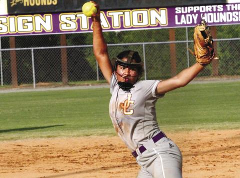 LADY HOUNDS