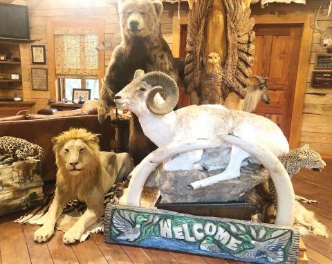 Goolsby recounts hunting trips around the world