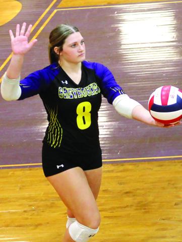 The Volley Hounds have excelled in non-region competetion, winning three matches in a row last week. BRAD HARRISON/Staff