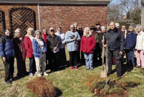 In observance of Arbor Day in Georgia, the Gray Garden Club honored the memory of Maudlyn Smith by planting a native Eastern Redbud at the Jones County Public Library on Feb. 21. CONTRIBUTED