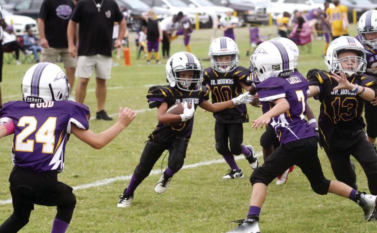 Youth football kicks off with games across five leagues